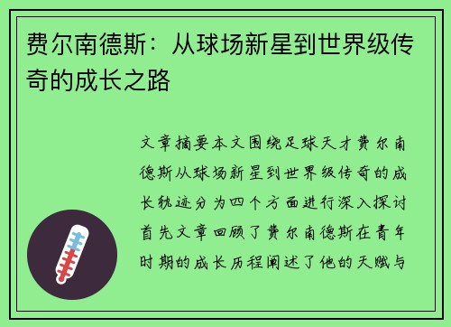 费尔南德斯：从球场新星到世界级传奇的成长之路