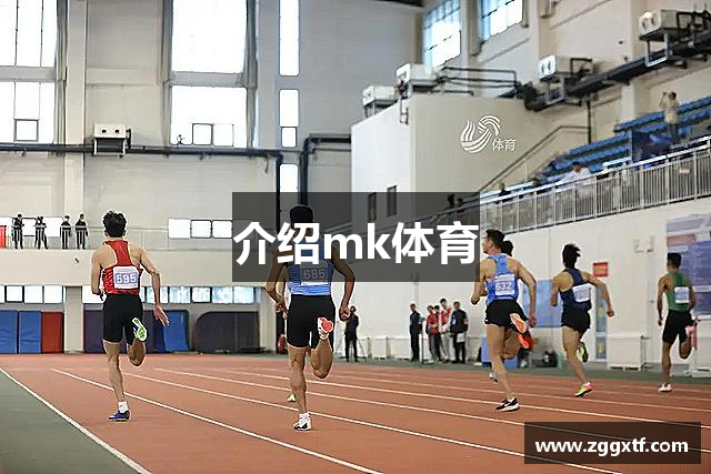 介绍mk体育